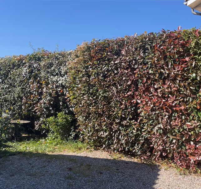 Dimitri Babtista, jardinier-paysagiste à Trévoux, au travail